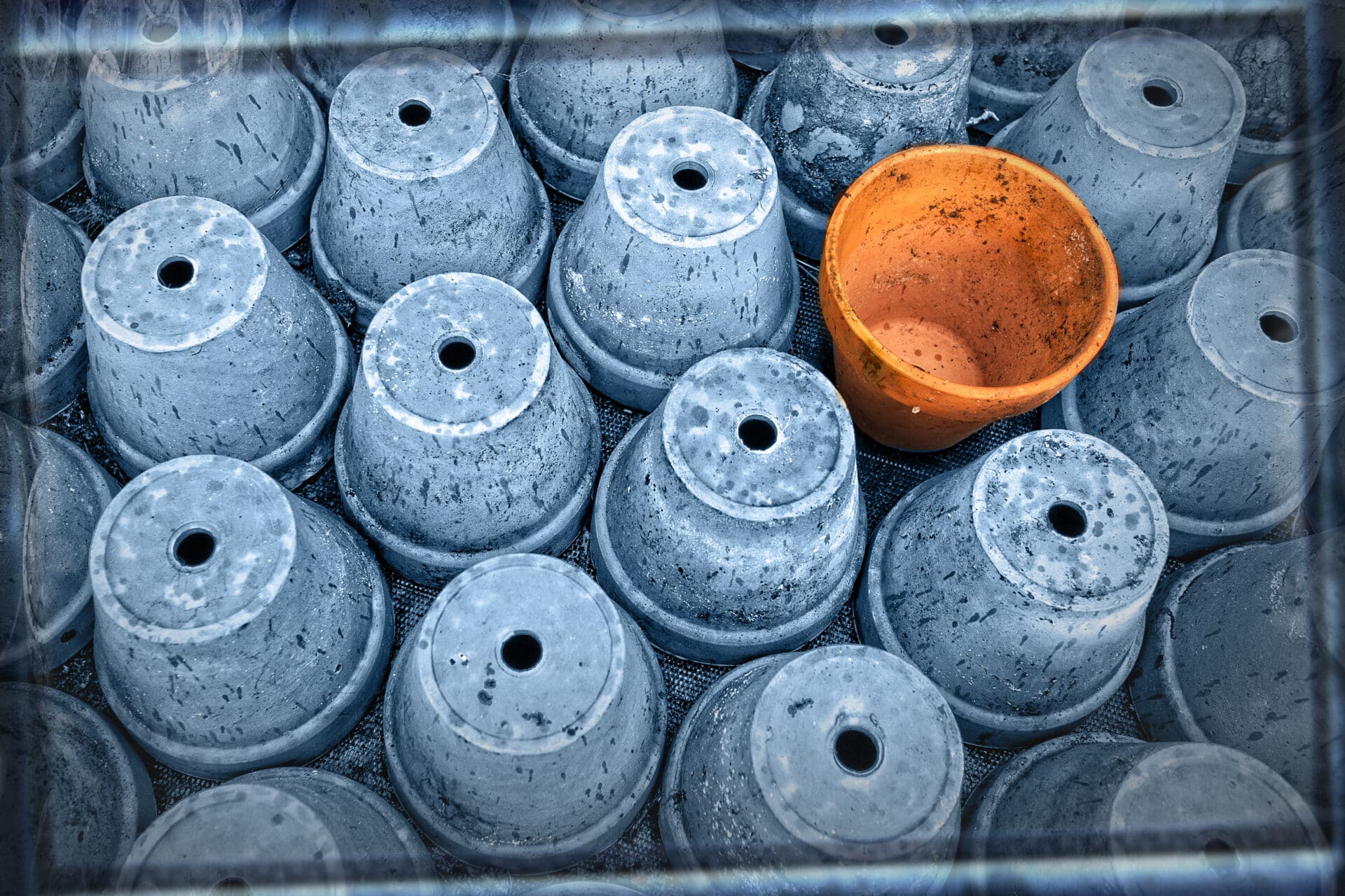 flower pots